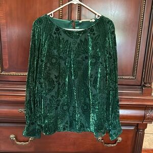 Gorgeous velvet dark green holiday top